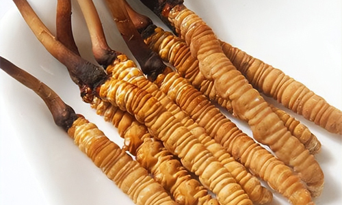 冬蟲(chóng)夏草的吃法，冬蟲(chóng)夏草的家常做法