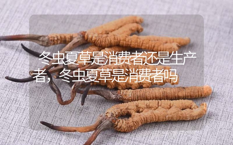 貧血吃冬蟲(chóng)夏草有效果嗎，貧血虛弱者可以用冬蟲(chóng)夏草嗎？