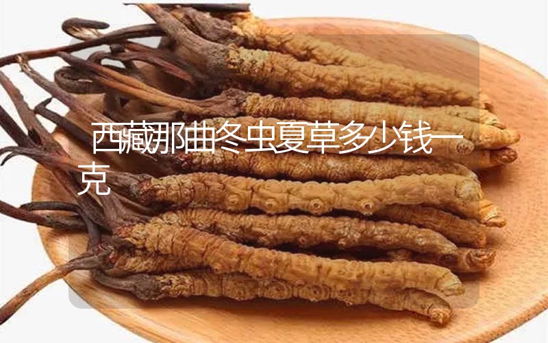 西藏那曲冬蟲夏草多少錢一克？