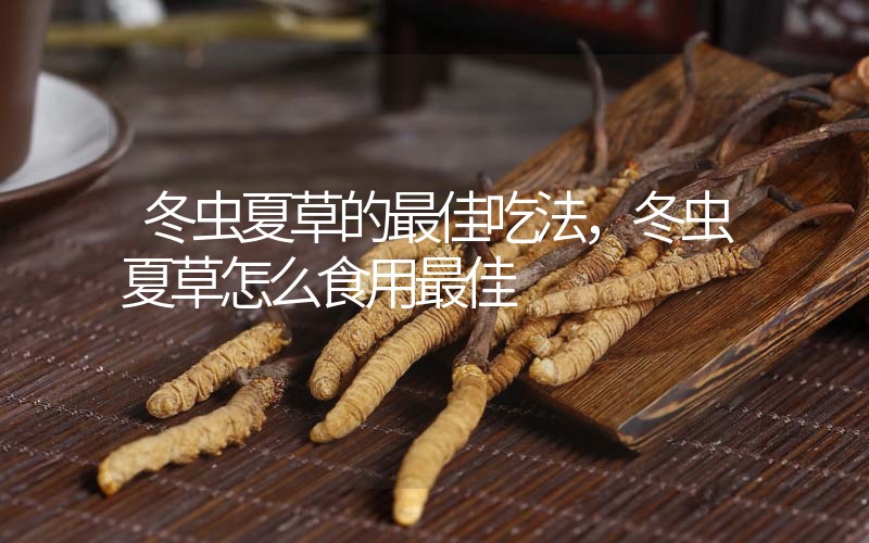冬蟲夏草的最佳吃法，冬蟲夏草怎么食用最佳