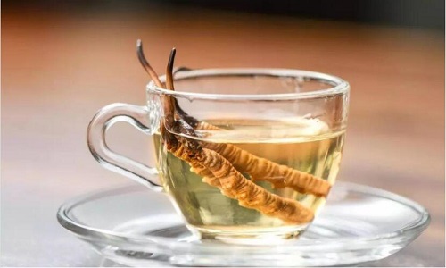 冬蟲夏草怎么吃最好？冬蟲夏草最佳的吃法