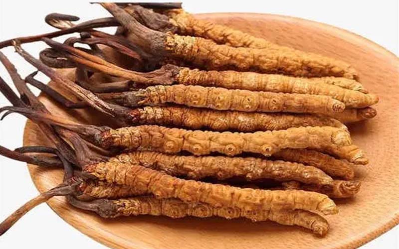 玉樹(shù)冬蟲(chóng)夏草價(jià)格為什么貴(青海玉樹(shù)蟲(chóng)草價(jià)格/價(jià)位)