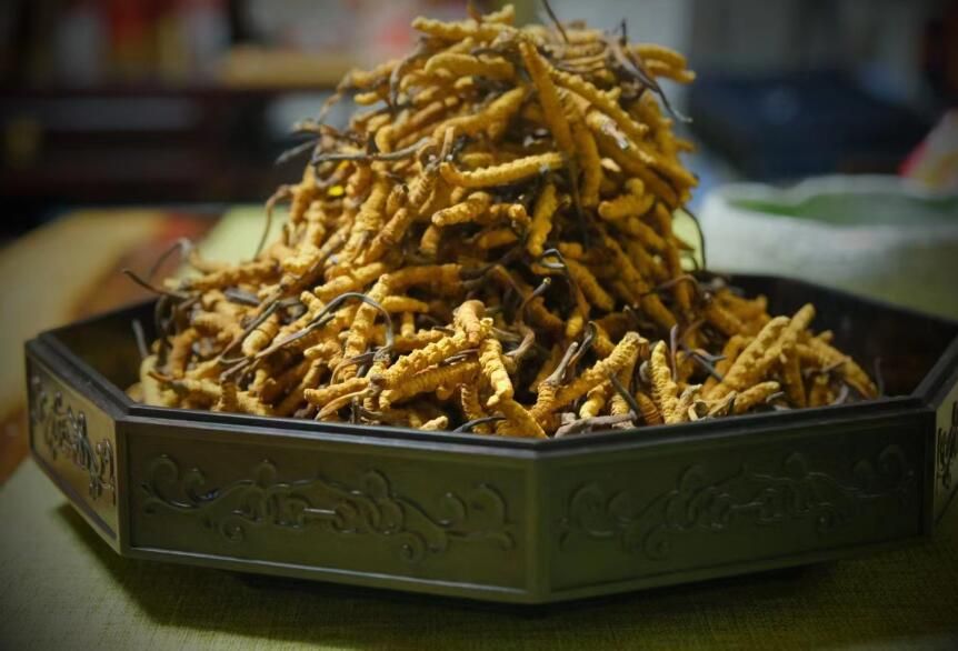 <a href=http://m.ynrhw.com/ target=_blank class=infotextkey>冬蟲(chóng)夏草</a>