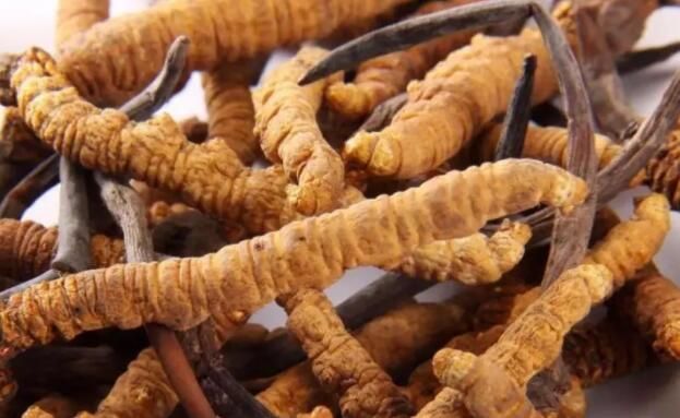 <a href=http://m.ynrhw.com/chifa/ target=_blank class=infotextkey>冬蟲夏草的吃法</a>