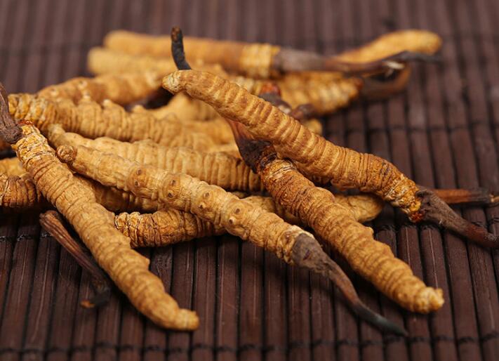 什么樣的冬蟲夏草算是優(yōu)質(zhì)的？