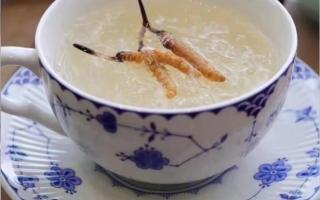 冬蟲夏草燉燕窩怎么做？