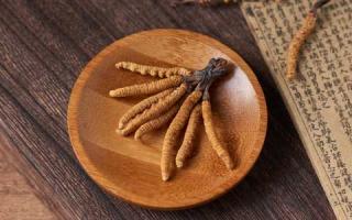 新手應(yīng)如何辨別真假冬蟲(chóng)夏草？