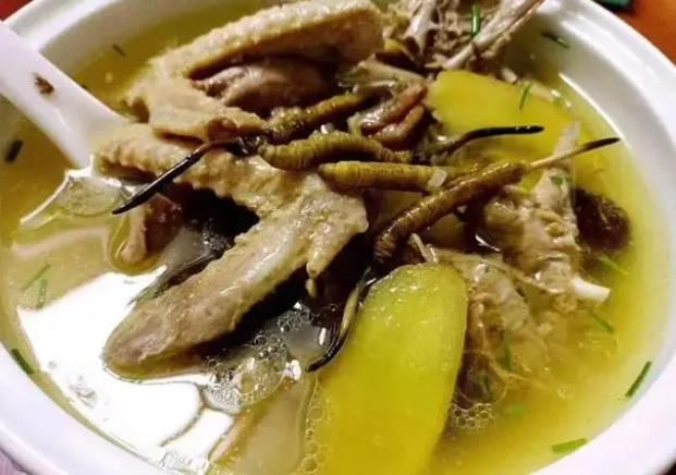 冬蟲夏草和哪些食材可以一起煲湯？