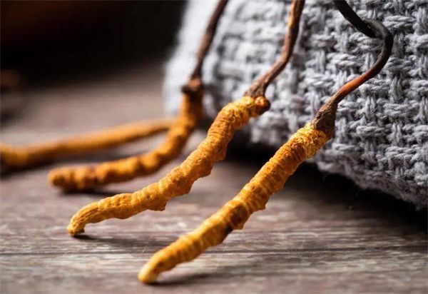 冬蟲夏草什么價(jià)格？冬蟲夏草2024價(jià)格表