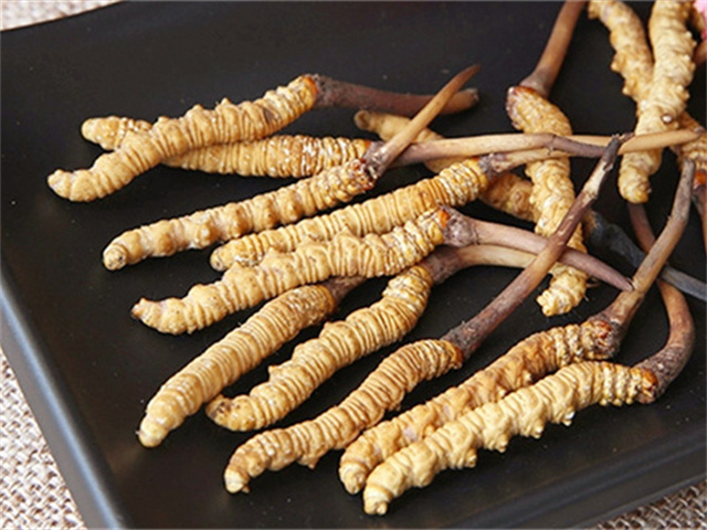 真的冬蟲夏草什么價(jià)格？影響冬蟲夏草價(jià)格波動(dòng)的3個(gè)關(guān)鍵因素