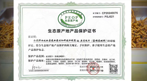 德耀娜秀 奮進比如║熱烈祝賀！比如縣“亞貢牦?！比脒x農(nóng)業(yè)農(nóng)村部全國名特優(yōu)新農(nóng)產(chǎn)品名錄