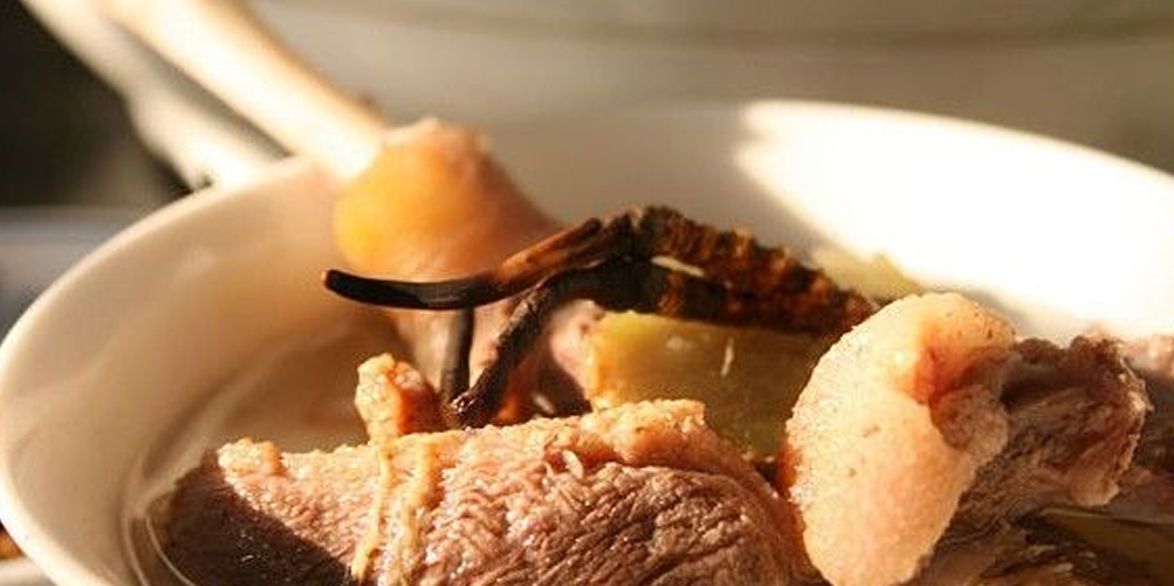 冬蟲夏草怎么吃？多種食用方法全解析