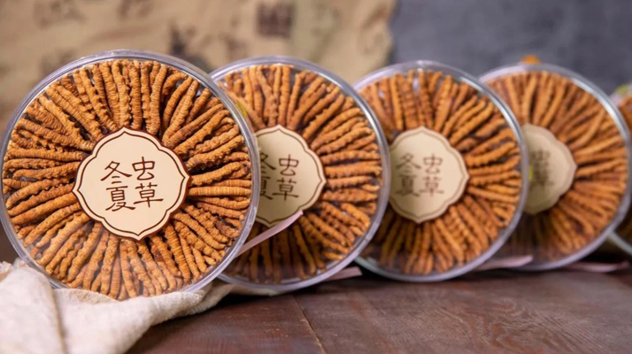 <a href=http://m.ynrhw.com/chanpin/ target=_blank class=infotextkey>冬蟲夏草一盒多少錢</a>？全方位剖析價格構(gòu)成