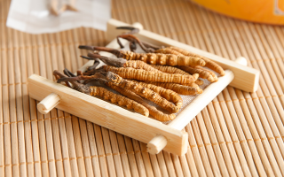 新鮮蟲(chóng)草價(jià)格多少錢(qián)一克