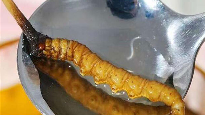 冬蟲夏草鮮草冷凍后這樣吃，營養(yǎng)不流失！