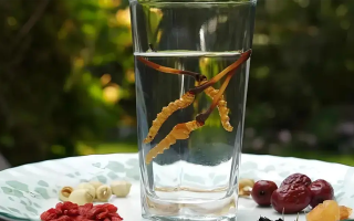 冬蟲夏草鮮品泡酒：養(yǎng)生佳釀還是健康隱患？