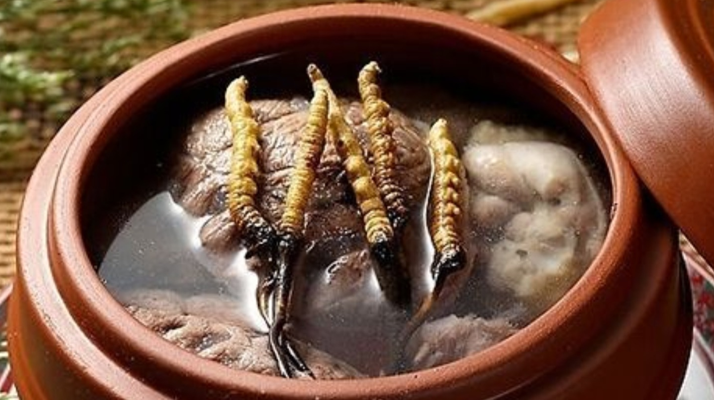 鮮冬蟲夏草吃多會上火嗎？一文解析真相