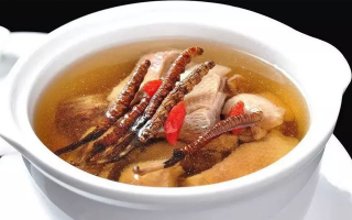冬蟲夏草煲湯的最佳季節(jié)，喝對事半功倍