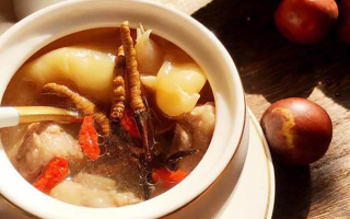 冬蟲夏草與什么泡水喝？養(yǎng)生搭配指南