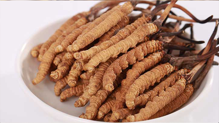 野生鮮<a href=http://m.ynrhw.com/s/nqcc/ target=_blank class=infotextkey>那曲冬蟲夏草</a>：雪域高原的時令滋補珍品