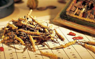 冬蟲(chóng)夏草是什么長(zhǎng)成的？揭秘其獨(dú)特的生長(zhǎng)歷程