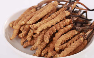 冬蟲(chóng)夏草燉水鴨，搭配這些食材更滋補(bǔ)