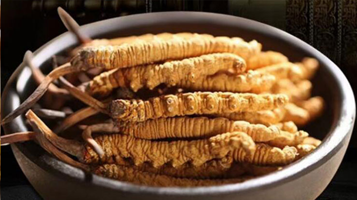 好的<a href=http://m.ynrhw.com/jiage/ target=_blank class=infotextkey>冬蟲夏草多少錢</a>一克