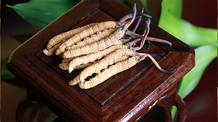 怎樣鑒別<a href=http://m.ynrhw.com/tag/6.html target=_blank class=infotextkey>冬蟲夏草的產(chǎn)地</a>