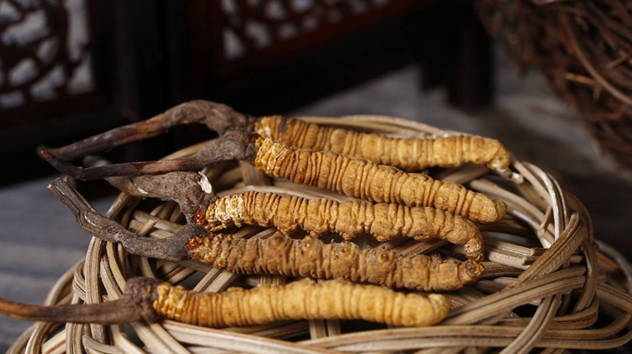 冬蟲夏草長(zhǎng)期貯存方法