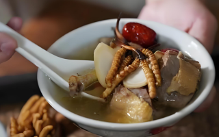 化療服用冬蟲(chóng)夏草有用嗎