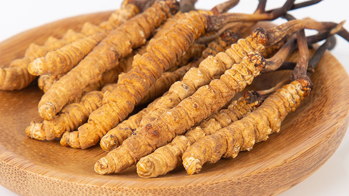 在西藏，冬蟲(chóng)夏草真的觸手可得？