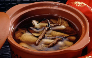 糖尿病可服用冬蟲夏草嗎？科學(xué)解析其調(diào)理價(jià)值與注意事項(xiàng)