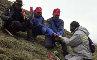 冬蟲夏草：把握最佳采摘季，守護自然饋贈