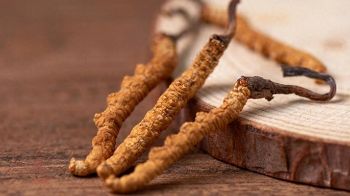 純野生<a href=http://m.ynrhw.com/jiage/ target=_blank class=infotextkey>冬蟲夏草價格</a>剖析：多因素交織下的價值體現(xiàn)