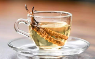 一斤白酒泡多少冬蟲夏草合適？科學配比與泡制指南