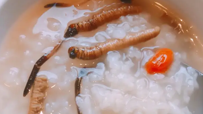 冬蟲夏草適合哪些人群？精準匹配與禁忌提醒