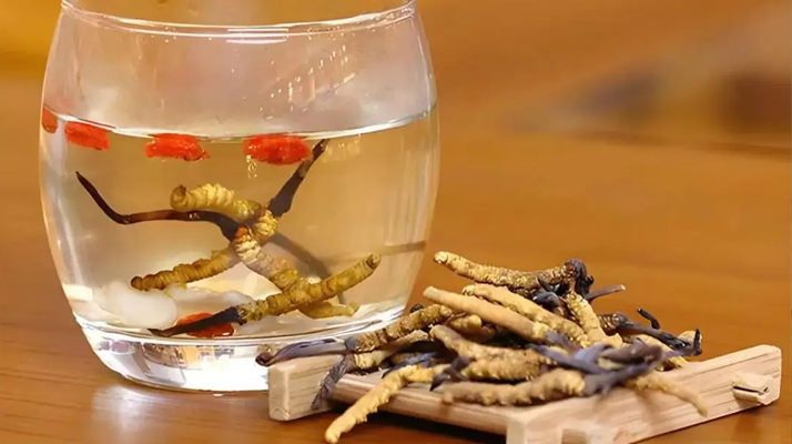 長期喝冬蟲夏草泡水好嗎？科學(xué)分析與飲用指南