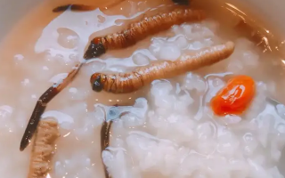 冬蟲夏草適合哪些人群？精準匹配與禁忌提醒