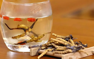 長期喝冬蟲夏草泡水好嗎？科學分析與飲用指南