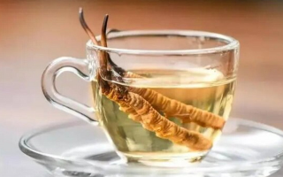 用酒泡冬蟲夏草能喝嗎？了解這些，安全飲用更滋補(bǔ)