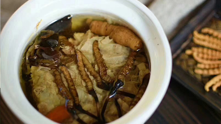 冬蟲夏草正常燉幾分鐘？掌握時長讓滋補更高效