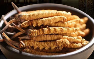 冬蟲夏草效果好不好用？科學(xué)與實(shí)踐視角下的全面解析