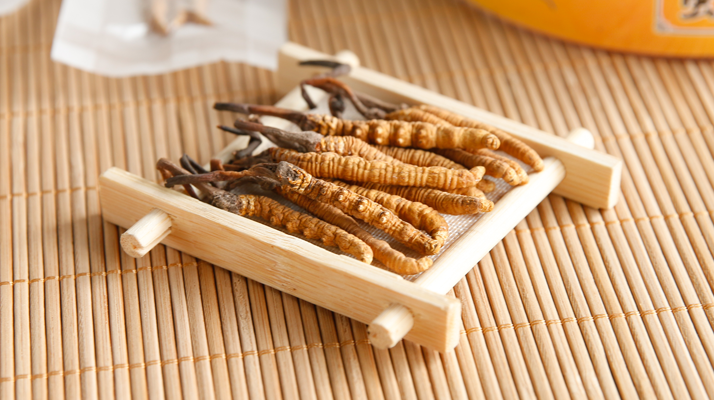  冬蟲(chóng)夏草效果好不好用？看適用場(chǎng)景與人群，理性看待才不踩坑