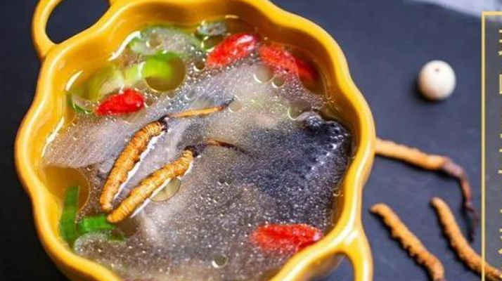 野生冬蟲(chóng)夏草：副作用風(fēng)險(xiǎn)需理性看待