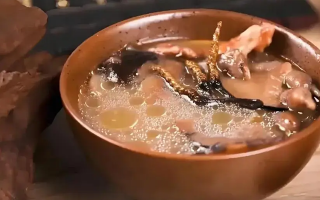 冬蟲夏草治什么病效果好？厘清輔助調(diào)理邊界與適用場(chǎng)景