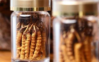 送冬蟲夏草給男孩子好嗎？分場景分析 + 送禮建議