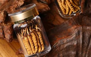 鮮冬蟲夏草泡水后怎么保存？3 種場景保存方法 + 避坑指南