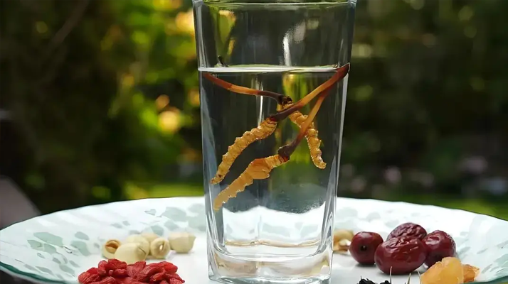 人參配蟲草泡酒，泡多久才好喝 