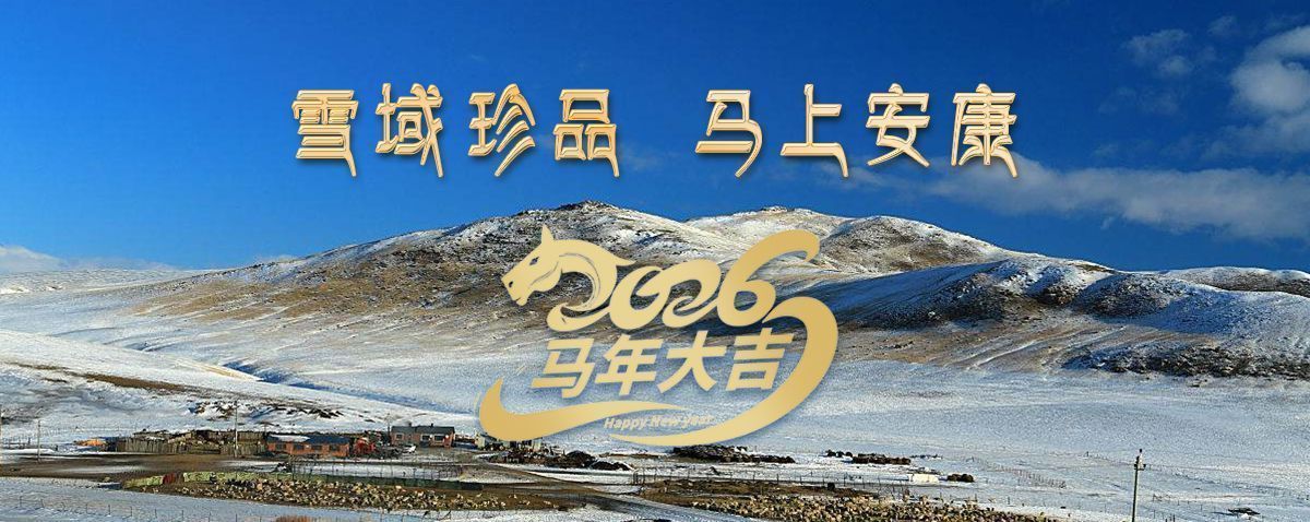 雪域高原藏珍品，2026愿您馬上安康——來自西藏那曲蟲草網(wǎng)的新春祝福