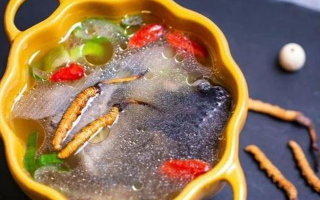 那曲冬蟲夏草辨別全指南｜教你避開市場陷阱，認(rèn)準(zhǔn)正宗珍品